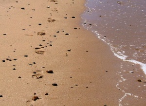 Footsteps. Macauley's Beach, 2012. Catherine Hughes.